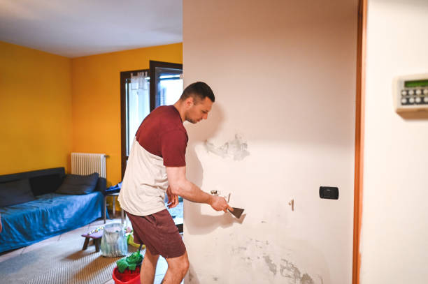 Professional Mold Removal in Baldwin, NY